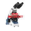 Binocular Microscope